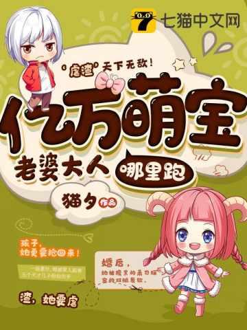 一胎七宝老婆大人哪里跑全文阅读